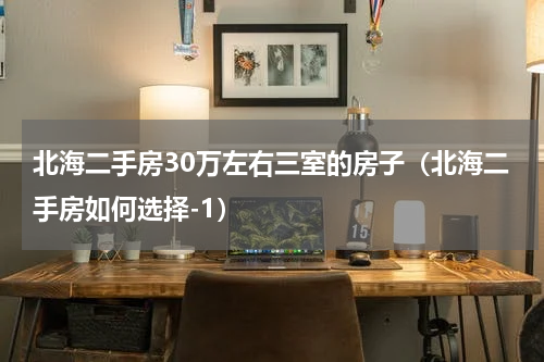 北海二手房30万左右三室的房子（北海二手房如何选择-1）