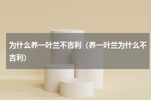 为什么养一叶兰不吉利（养一叶兰为什么不吉利）