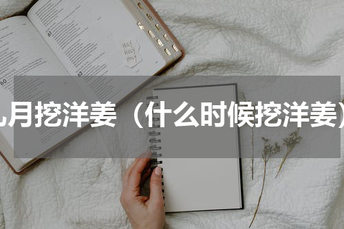 几月挖洋姜（什么时候挖洋姜）