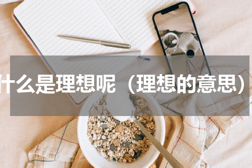 什么是理想呢（理想的意思）