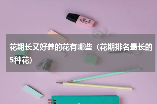 花期长又好养的花有哪些（花期排名最长的5种花）