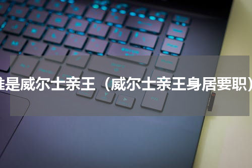 谁是威尔士亲王（威尔士亲王身居要职）