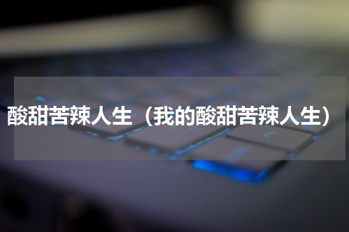 酸甜苦辣人生（我的酸甜苦辣人生）