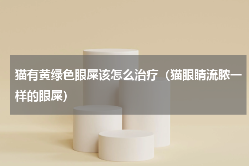 猫有黄绿色眼屎该怎么治疗（猫眼睛流脓一样的眼屎）