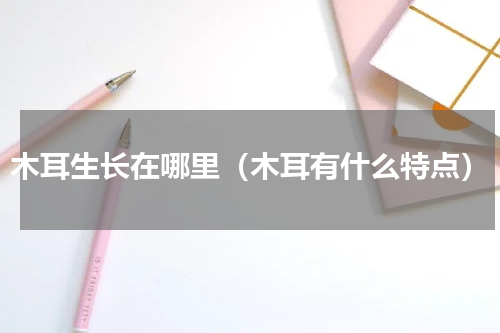 木耳生长在哪里（木耳有什么特点）