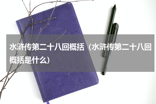 水浒传第二十八回概括（水浒传第二十八回概括是什么）