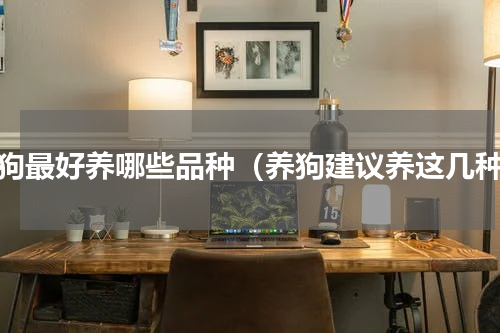 养狗最好养哪些品种（养狗建议养这几种）