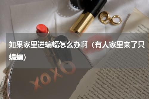 如果家里进蝙蝠怎么办啊（有人家里来了只蝙蝠）