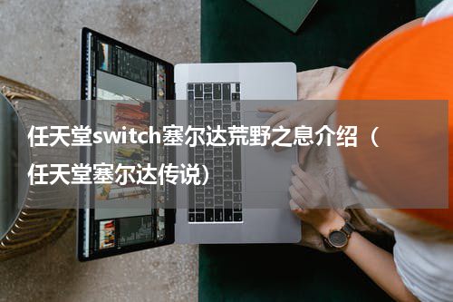 任天堂switch塞尔达荒野之息介绍（任天堂塞尔达传说）