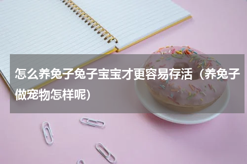 怎么养兔子兔子宝宝才更容易存活（养兔子做宠物怎样呢）