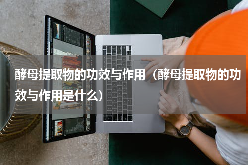 酵母提取物的功效与作用（酵母提取物的功效与作用是什么）