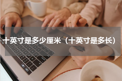十英寸是多少厘米（十英寸是多长）
