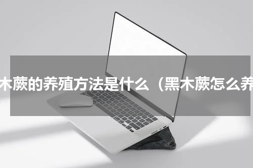 黑木蕨的养殖方法是什么（黑木蕨怎么养）