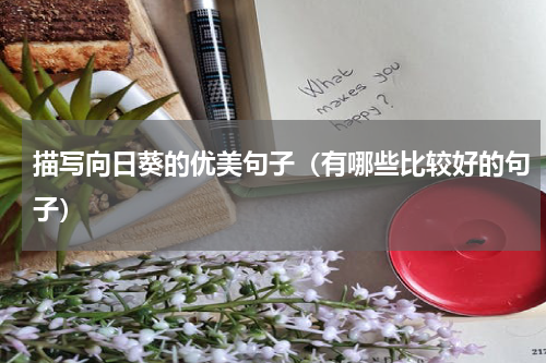 描写向日葵的优美句子（有哪些比较好的句子）