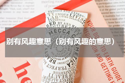 别有风趣意思（别有风趣的意思）