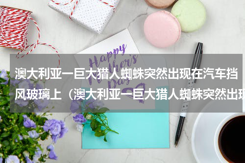 澳大利亚一巨大猎人蜘蛛突然出现在汽车挡风玻璃上（澳大利亚一巨大猎人蜘蛛突然出现在汽车挡风玻璃上）