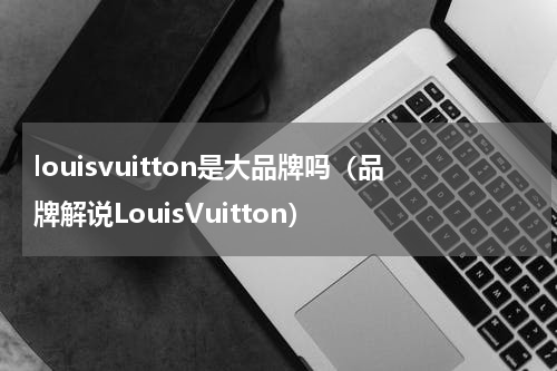 louisvuitton是大品牌吗（品牌解说LouisVuitton）