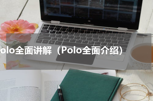polo全面讲解（Polo全面介绍）