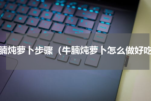 牛腩炖萝卜步骤（牛腩炖萝卜怎么做好吃）