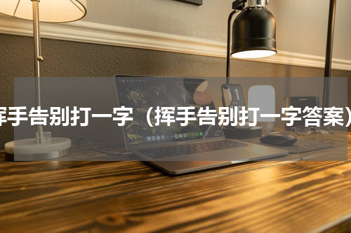 挥手告别打一字（挥手告别打一字答案）