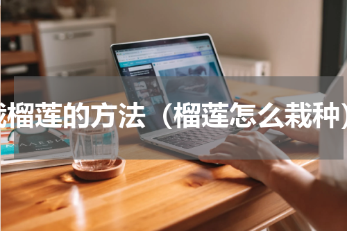 栽榴莲的方法（榴莲怎么栽种）