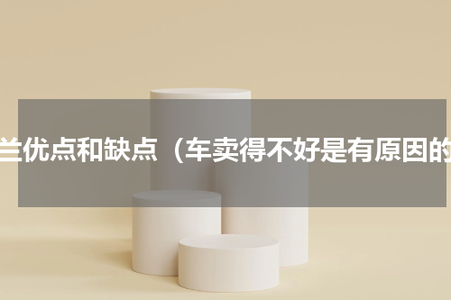 楼兰优点和缺点（车卖得不好是有原因的）