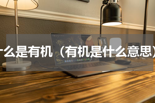 什么是有机（有机是什么意思）