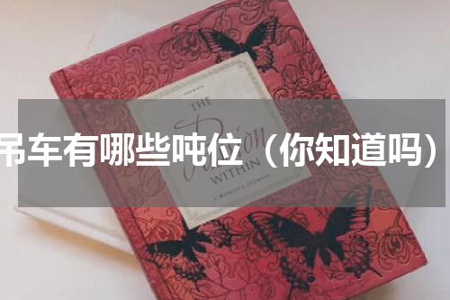 吊车有哪些吨位（你知道吗）