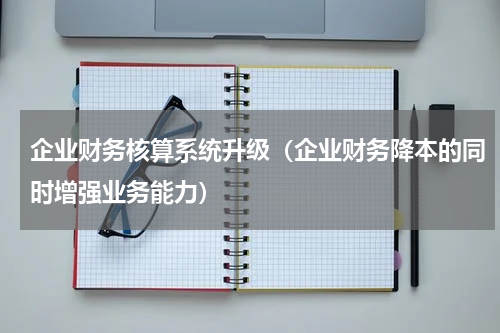 企业财务核算系统升级（企业财务降本的同时增强业务能力）