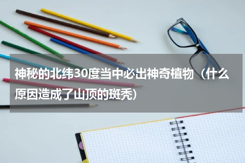 神秘的北纬30度当中必出神奇植物（什么原因造成了山顶的斑秃）
