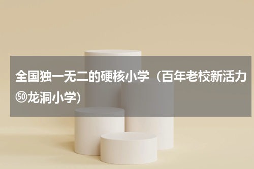 全国独一无二的硬核小学（百年老校新活力㊿龙洞小学）