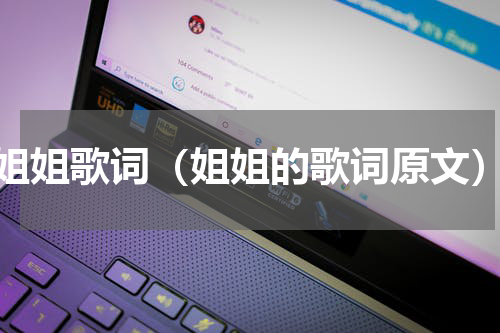 姐姐歌词（姐姐的歌词原文）