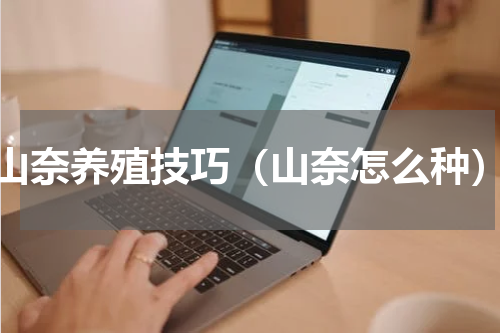 山奈养殖技巧（山奈怎么种）