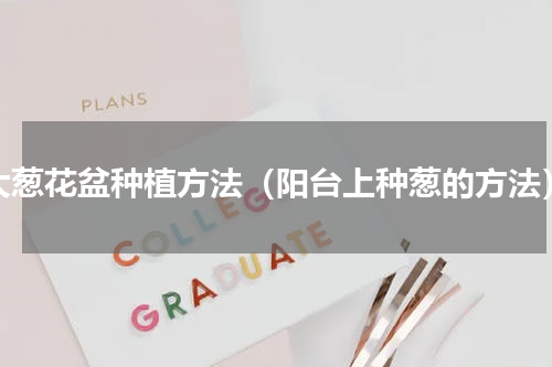 大葱花盆种植方法（阳台上种葱的方法）