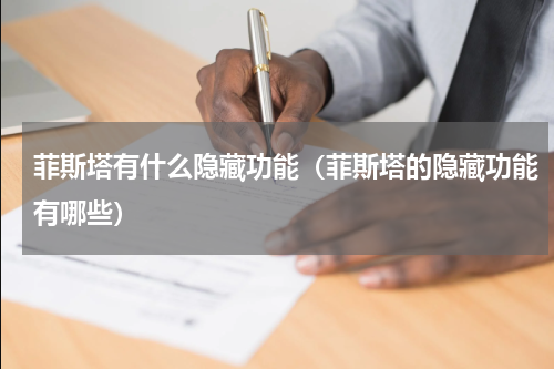 菲斯塔有什么隐藏功能（菲斯塔的隐藏功能有哪些）
