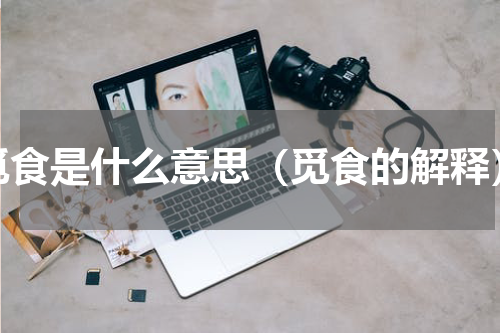 觅食是什么意思（觅食的解释）