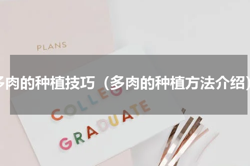 多肉的种植技巧（多肉的种植方法介绍）