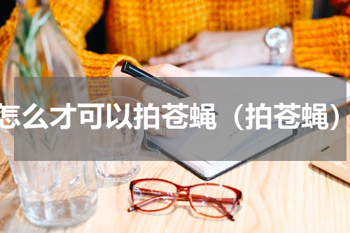 怎么才可以拍苍蝇（拍苍蝇）