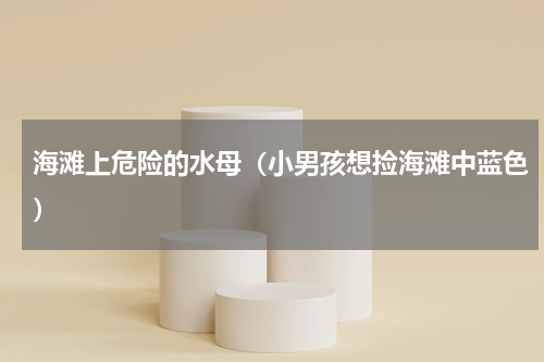 海滩上危险的水母（小男孩想捡海滩中蓝色）