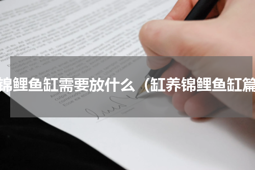 养锦鲤鱼缸需要放什么（缸养锦鲤鱼缸篇）