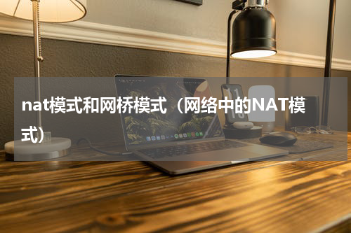 nat模式和网桥模式（网络中的NAT模式）