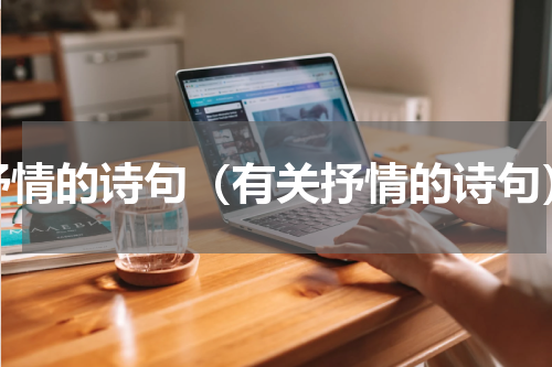 抒情的诗句（有关抒情的诗句）