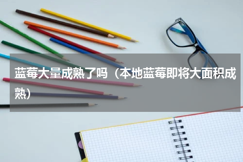 蓝莓大量成熟了吗（本地蓝莓即将大面积成熟）