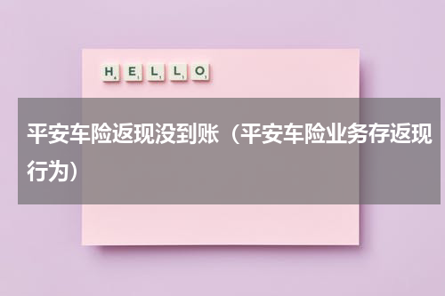 平安车险返现没到账（平安车险业务存返现行为）