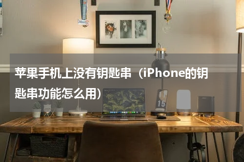 苹果手机上没有钥匙串（iPhone的钥匙串功能怎么用）