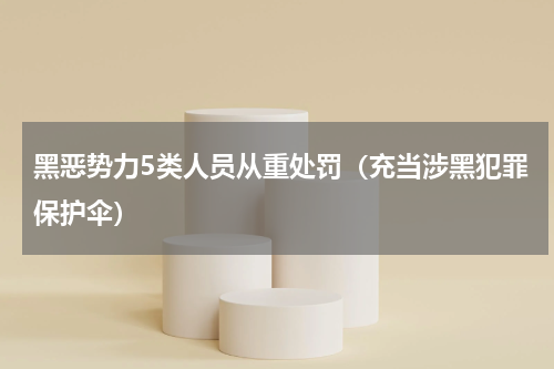 黑恶势力5类人员从重处罚（充当涉黑犯罪保护伞）