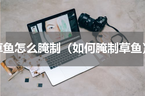草鱼怎么腌制（如何腌制草鱼）