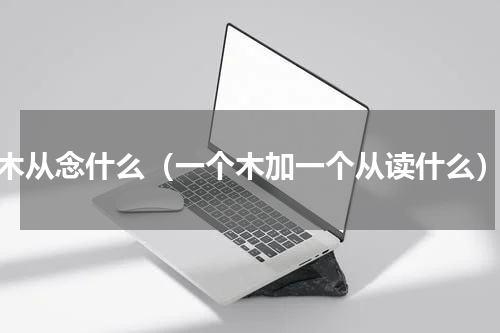木从念什么（一个木加一个从读什么）
