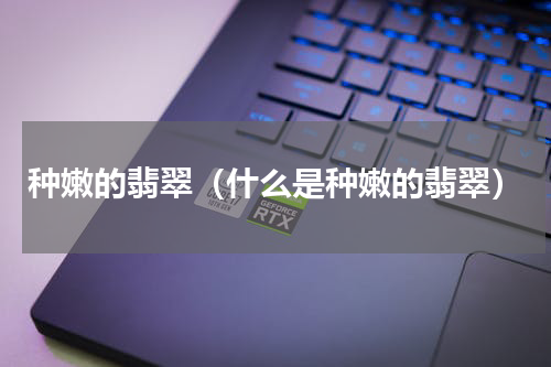 种嫩的翡翠（什么是种嫩的翡翠）