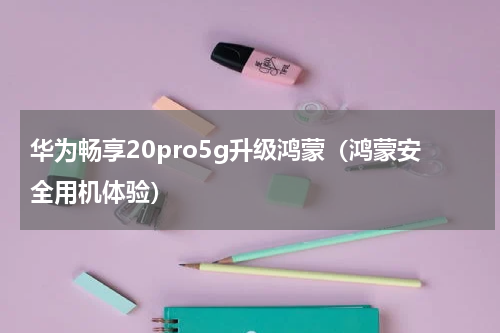 华为畅享20pro5g升级鸿蒙（鸿蒙安全用机体验）